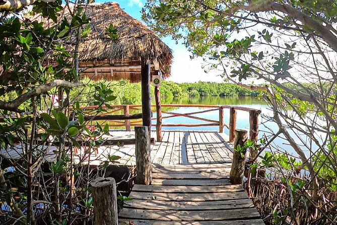 Full-Day Isla Contoy Sailing Nature Experience in Mujeres - Meeting at Punta Sam: Start Time, Group Size, and What to Expect