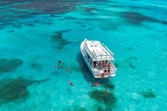 Full-Day Isla Contoy Sailing Nature Experience in Mujeres - El Farito Snorkeling: Short, Focused, and Easy to Fit In