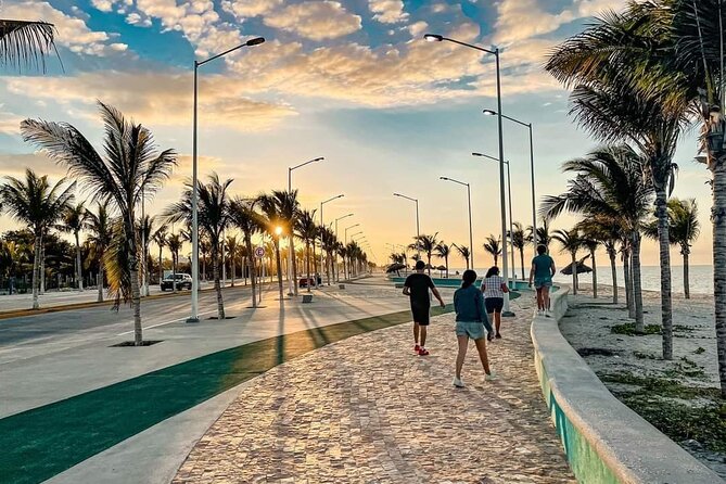 Full Day Tour of Holbox Island and Yalahau Cenote with Lunch - Holbox Island free time: 2 hours, bike rental, and beach-town walking