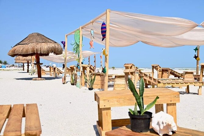 Full Day Tour of Holbox Island and Yalahau Cenote with Lunch - The 6:00 am pickup: the part that decides your mood