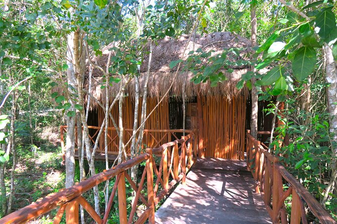 Full-Day Tour of Tulum Ruins and Cenotes with Lunch - Lunch after you swim: Mayan-style tacos that actually fill you up