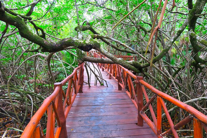 Full-Day Tour of Tulum Ruins and Cenotes with Lunch - Price and value: what $126 covers (and what to budget)