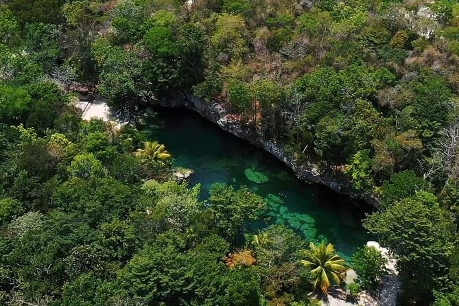 Full Day Tour to 5 Magical Cenotes in the Riviera Maya - Stop 1 in Tulúm: quick photo moment at the Tulum letters