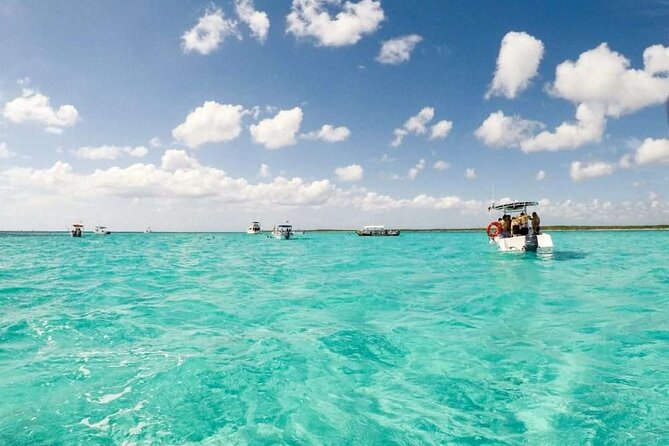 Full day tour to El Cielo in Cozumel Snorkeling and Lunch - El Cielo snorkeling: starfish photos and the water that stays shallow