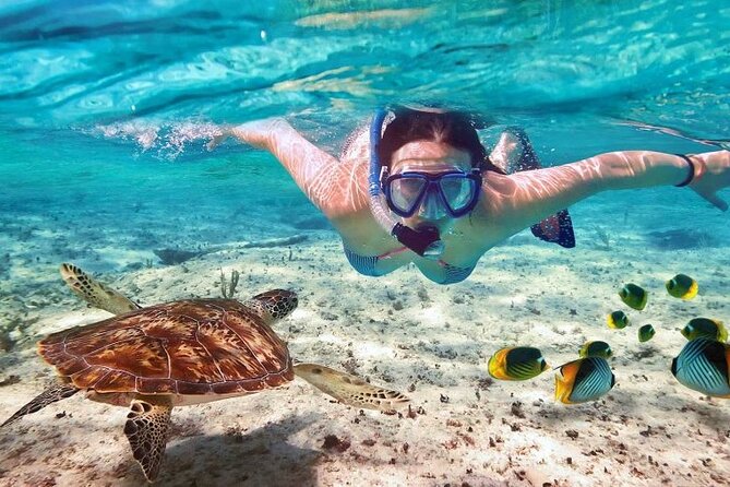 Full day tour to El Cielo in Cozumel Snorkeling and Lunch - Cozumel beach club time: lunch plus facilities, not just a quick stop