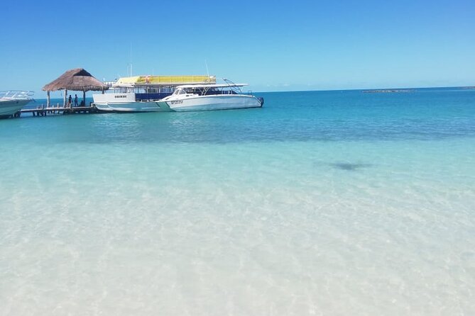 Full Day Tour to Isla Contoy and Isla Mujeres from Cancun - Breakfast, Lunch, and Open Bar: Food That Keeps the Day Moving