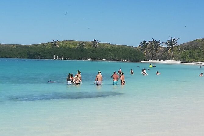 Full Day Tour to Isla Contoy and Isla Mujeres from Cancun - Isla Contoy Time: Lighthouse Viewpoints and Birds