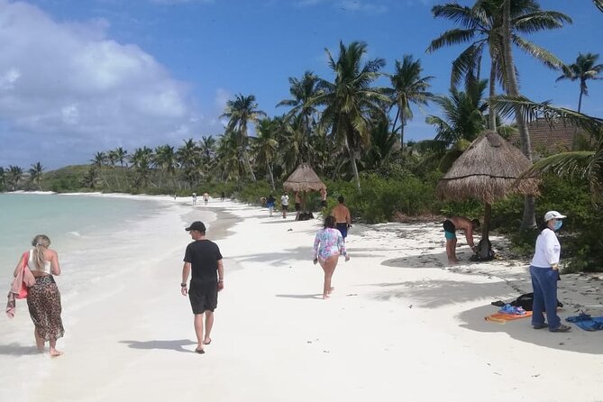 Full Day Tour to Isla Contoy and Isla Mujeres from Cancun - Isla Mujeres for One Hour: Playa Norte or Town Stop
