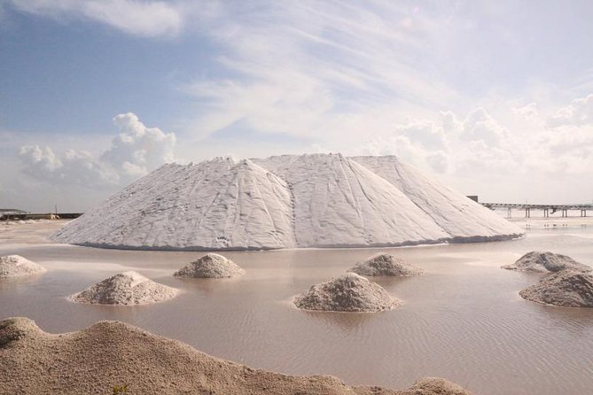 Full-Day Tour to Las Coloradas Pink Paradise in Yucatan and Rio Lagartos. - Río Lagartos boat ride: flamingos, mangroves, and the quiet rule