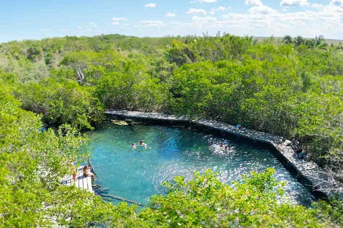 Full Day Tour to the Best of Holbox - Getting from Cancun at 7:00am without wasting the day
