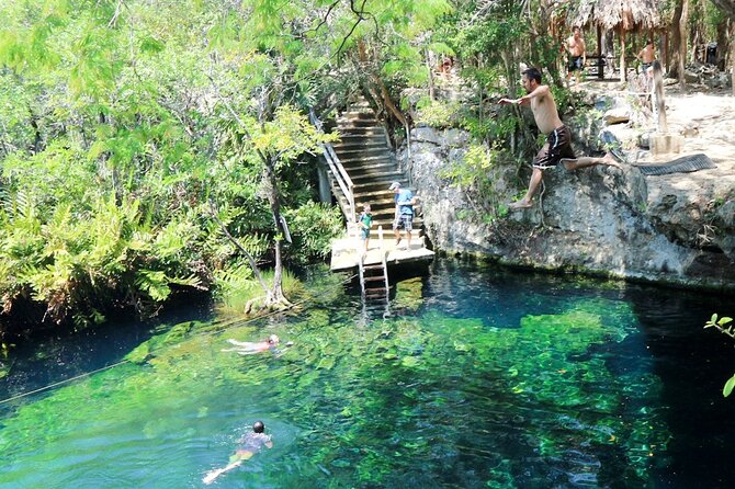 Full Day Tour to the Best of Holbox - Isla de la Pasion: bird watching with a quick island walk