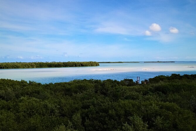 Full Day Tour to the Best of Holbox - Yalahau Lagoon and Ojo de Agua: swimming and laguna time