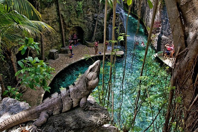 Full day Xcaret Plus & Buffet & from Cancun & Playa del Carmen - The park day structure: how your time likely flows