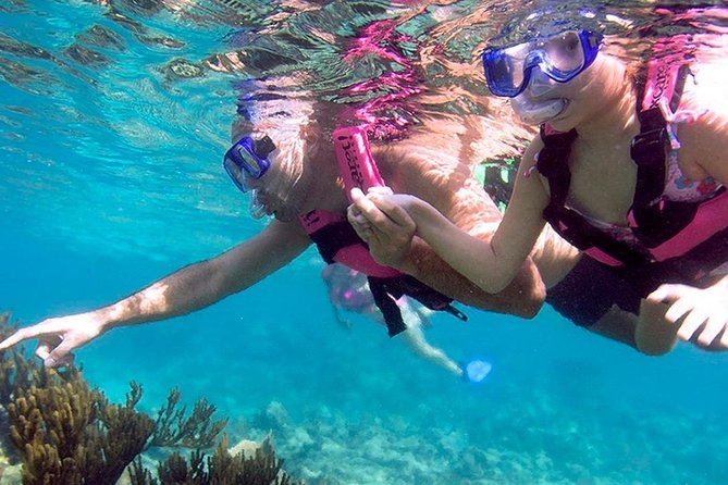 Full day Xcaret Plus & Buffet & from Cancun & Playa del Carmen - Snorkeling gear: optional, but not free