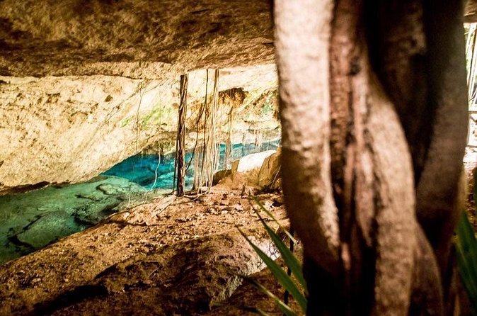 General Admission Ticket to Chikin Ha in Playa del Carmen - Ziplines and caves: fun extras if they’re running that day