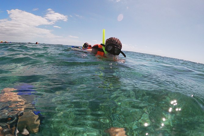 Guided Tour of Puerto Morelos Reefs with Snorkeling Experience - Puerto Morelos Reef Snorkeling: A Smart Cancun Add-On