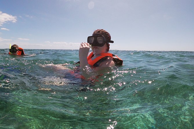 Guided Tour of Puerto Morelos Reefs with Snorkeling Experience - First Reef Stop: Marine Life, 40 Minutes, Big Payoff