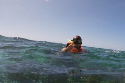 Guided Tour of Puerto Morelos Reefs with Snorkeling Experience - Check-In, Snorkel Gear, and the Boat Setup
