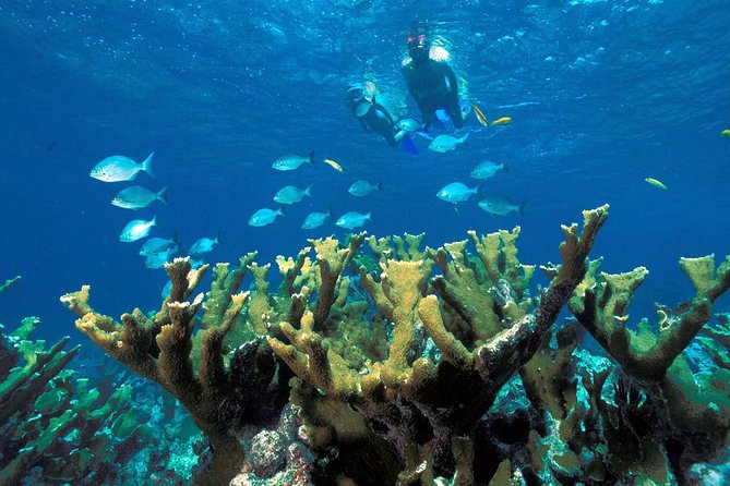 Guided Tour of Puerto Morelos Reefs with Snorkeling Experience - Small Group Size, Pacing, and When Tours Can Run Long