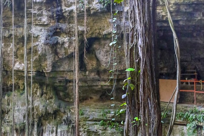 Guided Tour to Chichen Itza, saamal Cenote and Valladolid City - The Most Important Things to Check Before You Go