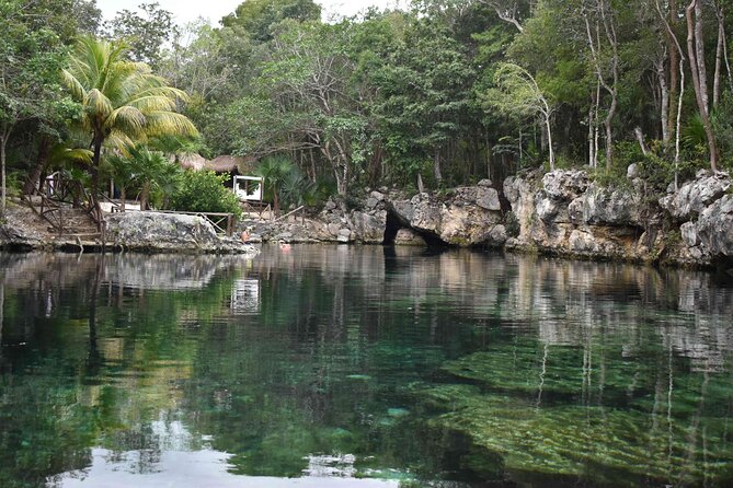 Half Day Cenotes Tour - Key highlights before you go
