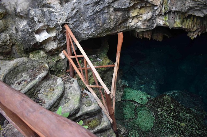 Half Day Cenotes Tour - Cenote Time in Tulum: Open-Sky Swimming and an Underground Cave Segment