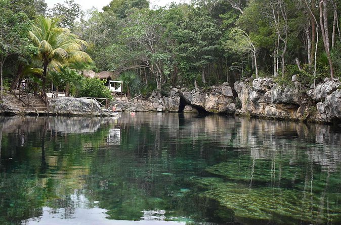 Half Day Cenotes Tour - Guide, Pace, and Group Size: Why Small Groups Matter Here