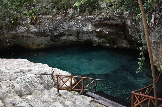 Half Day Cenotes Tour - Water Conditions and Cenote Clarity: A Real-World Consideration