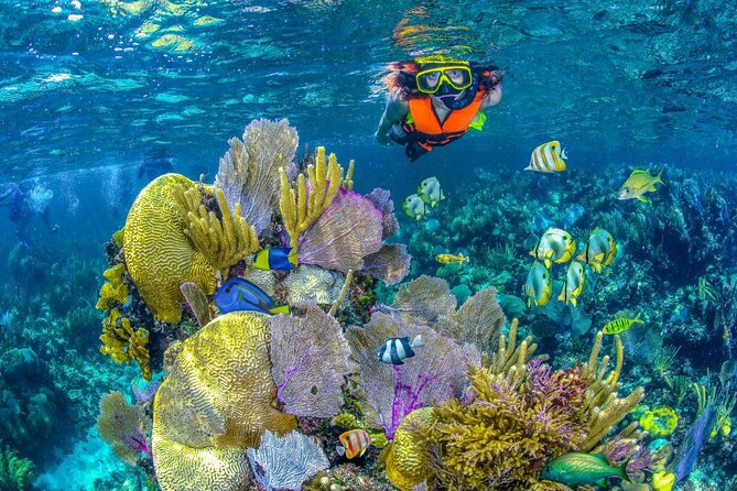 Half Day Guided Snorkeling Adventure Tour from Cancun - Key things that make this tour worth your attention