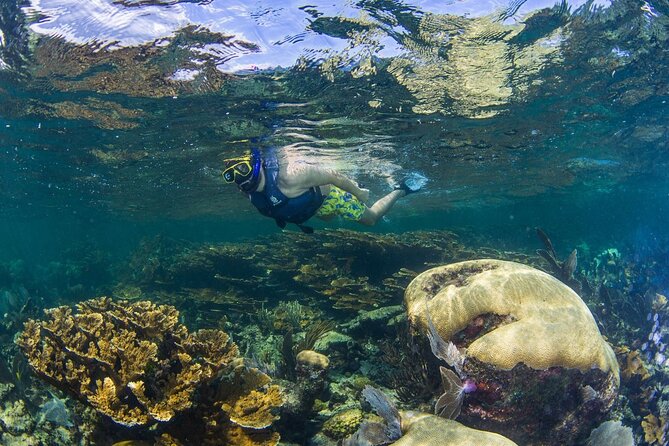 Half Day Guided Snorkeling Adventure Tour from Cancun - Beach Club Lunch Break with Regional Food and Water Drinks