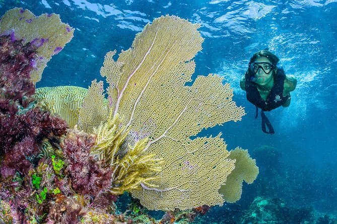 Half Day Guided Snorkeling Adventure Tour from Cancun - Snorkel Gear, Lockers, and the Comfort Reality Check