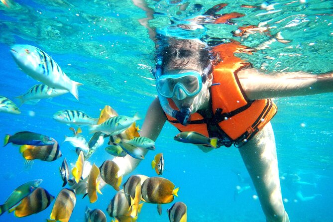 Half-Day Puerto Morelos Snorkeling Experience with Lunch - Price and What You Actually Pay Before You Go