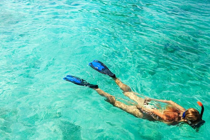 Half-Day Puerto Morelos Snorkeling Experience with Lunch - Snorkeling Rules You’ll Want to Know Up Front