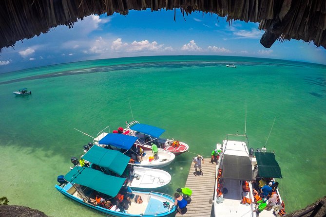 Holbox Island Tour departure from Cancun - Food, Water, and the Real Value of the Full Option