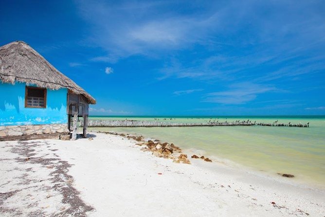 Holbox Island Tour departure from Cancun - Punta Mosquito: A 40-Minute Nature Pause