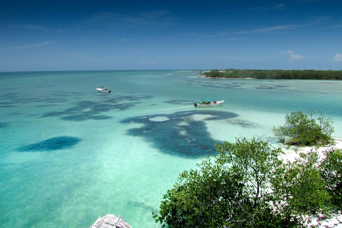 Holbox Island Tour From Cancun - Pickup Timing, Group Size, and How to Avoid a Rough Start