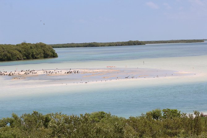 Holbox Island Tour From Cancun - Should You Book This Holbox Day Trip From Cancun?