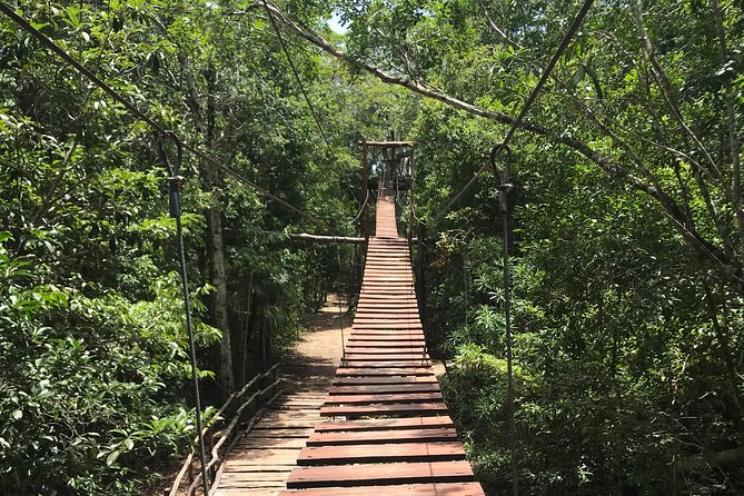 Horseback riding and ATV in the jungle, Ziplines, Cenote & Lunch - Cenote Maya swim: how to cool off (and what gear helps)
