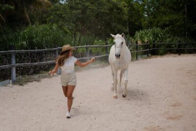 Horseback Riding and Cenote Swim from Cancun or Playa del Carmen - Getting There From Cancun or Playa del Carmen (Pickup That Usually Works)