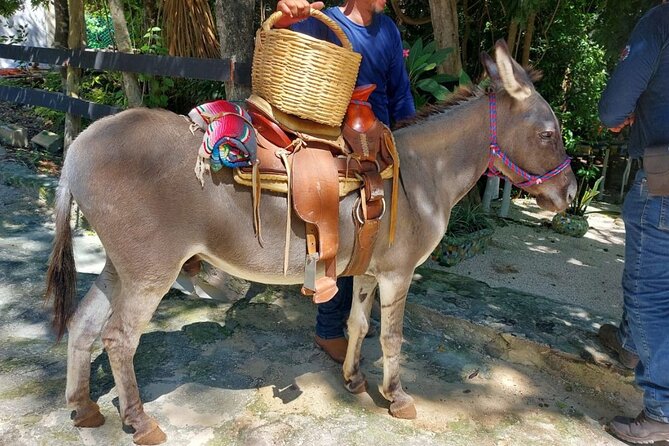 Horseback Riding Tour at Rancho Bonanza and Cenote Swim - Snacks, drinks, and comfort details you’ll feel during the ride