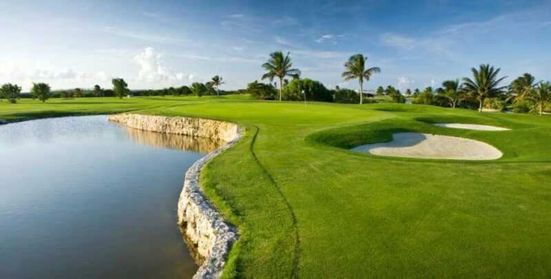 Iberostar Cancun Golf Course - Wildlife and the Nature Factor: Crocodiles Are a Real Possibility