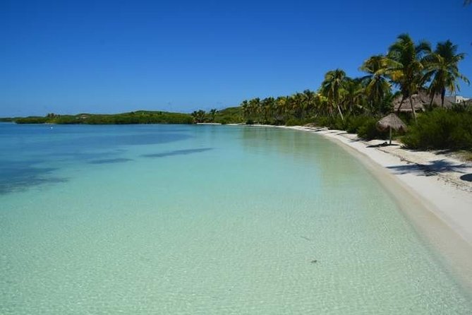 Isla Contoy Incredible Tour! Round Transportation From Cancun & Playa Del Carmen - The catamaran ride: what to expect on the water