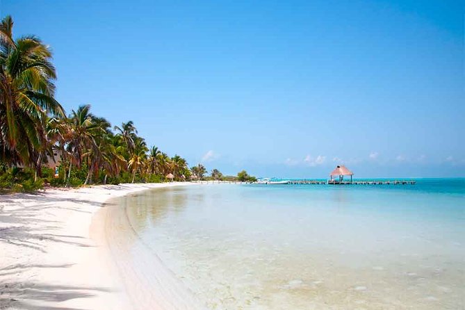Isla Contoy Incredible Tour! Round Transportation From Cancun & Playa Del Carmen - Snorkeling at Ixlache Reef: the 35-minute window and the rules that matter