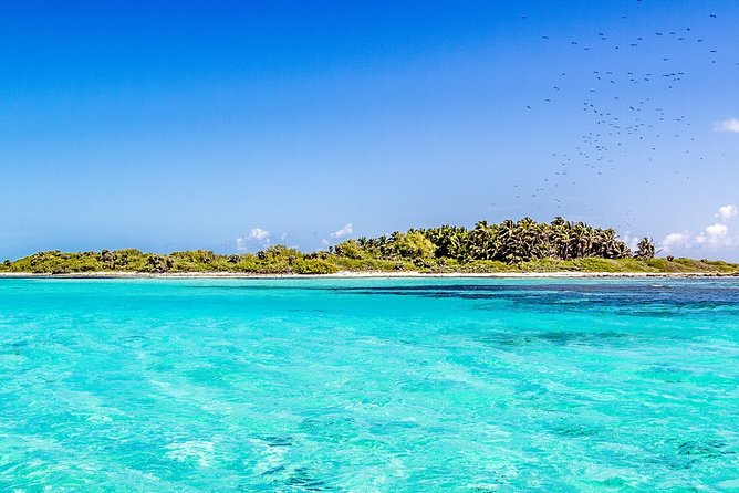 Isla Contoy Incredible Tour! Round Transportation From Cancun & Playa Del Carmen - Isla Mujeres in one hour: a short walk, not a whole second vacation