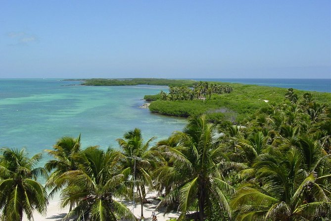Isla Contoy Incredible Tour! Round Transportation From Cancun & Playa Del Carmen - Lunch, drinks, and the timing you should not ignore
