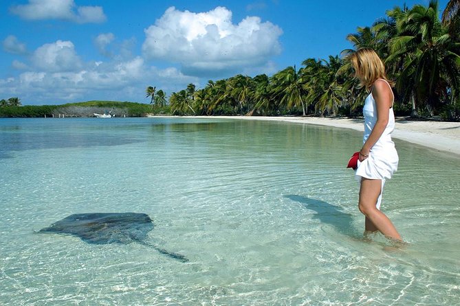 Isla Contoy & Isla Mujeres Tour from Cancun & Playa Del Carmen - Isla Contoy reef snorkeling: what to expect and who can join