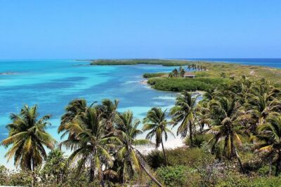 Isla Contoy & Isla Mujeres Tour from Cancun & Playa Del Carmen - Catamaran ride comfort and what “up to 50” really means
