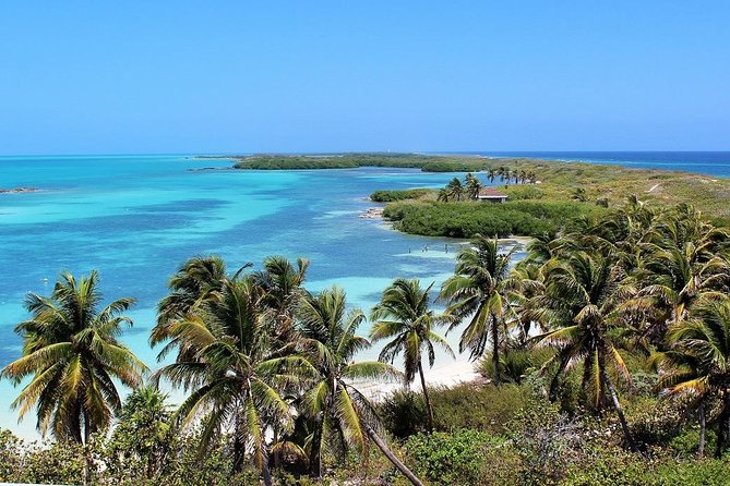 Isla Contoy & Isla Mujeres Tour from Cancun & Playa Del Carmen - Catamaran ride comfort and what “up to 50” really means