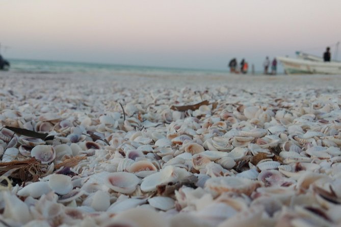 Isla Holbox All Inclusive with Transportation (Breakfast and Food Included) - Cenote Yalahau: The Lagoon-Style Cenote Stop With Entrance Included