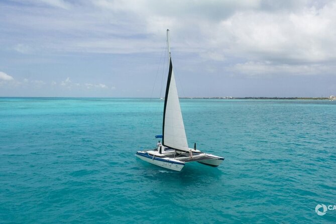 Isla Mujeres Basic Catamaran Tour with Snorkeling and Open Bar - Stop-by-Stop Snorkeling and Swimming at Tortugas, El Meco, and Playa Norte